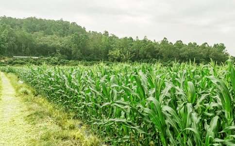 �r(n��ng)�Ҙ��(xi��ng)Ŀ���h��