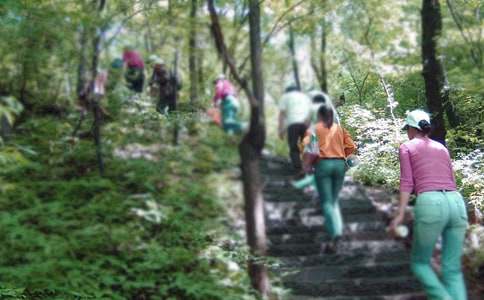 ��ɽ�߄���15ƪ