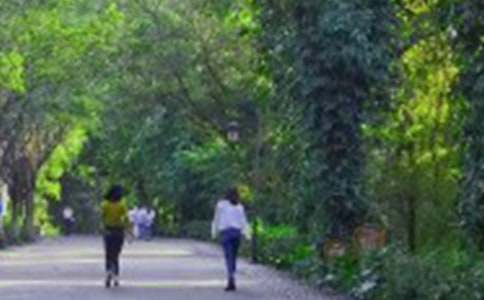 ���ᣩ��ɽ��Ӳ߄���