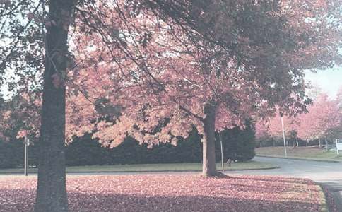 С���＾�������Y(ji��)