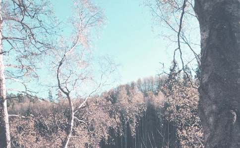 �＾��๤��Ӌ��