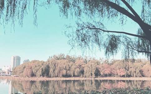 �����á��＾����Ӌ��ģ���\����ƪ