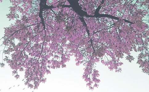 �＾С�๤��Ӌ(j��)�������x15ƪ��