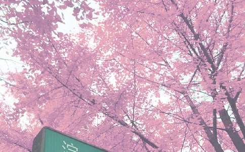 �＾�W(xu��)�ڰ���(w��)�������Y(ji��)