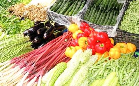 �������߲˹�؛��ͬ����4ƪ