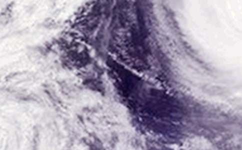 �A(y��)���_(t��i)�L(f��ng)�������Y(ji��)