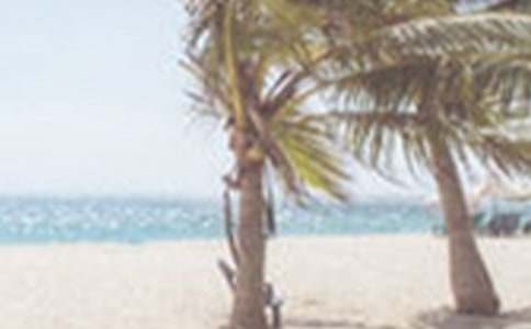 �ļ��������Y(ji��)