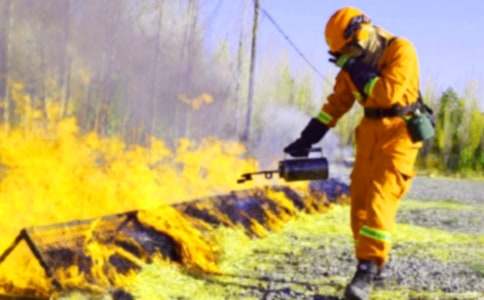 ˽�ԸĄ�(d��ng)�������Z��(sh��)