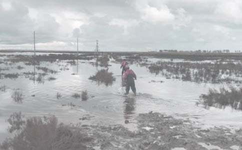 �����λ���I(y��)���Ĺ������Y(ji��) ���͹��������Y(ji��)����