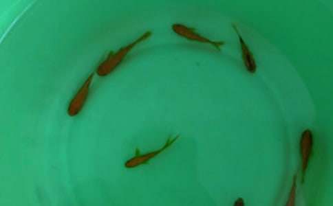 ُ�~���ͬ����