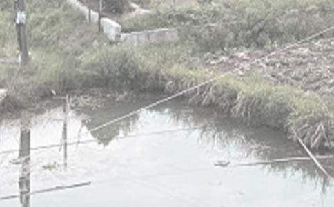 �~��늱���Ո����Ό� �~�������Ո����ô��