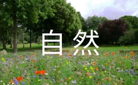 ���o��Ȼ�h(hu��n)�����h��5ƪ