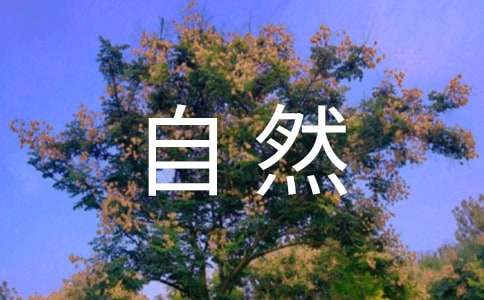 ���o(h��)��Ȼ�h(hu��n)�����h��