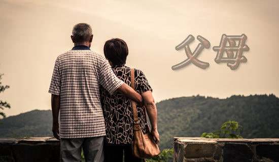 ��ĸ���o���ӵı�?y��)P(y��ng)�Ž�(j��ng)�䣨6ƪ��