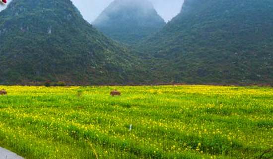 ���´��ΰ�ȫ؟(z��)�γ��Z��(sh��)ͨ��